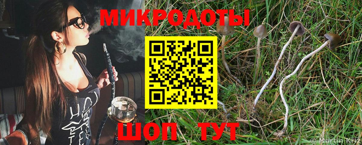 Галлюциногенные грибы ЛСД Семёнов